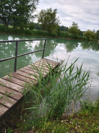 Holzsteg an einem Teich